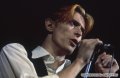 David Bowie - заказ артиста